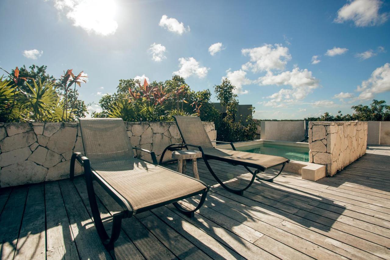 Vida Jungle 7 With Special Fee To Access Bardo Appartamento *