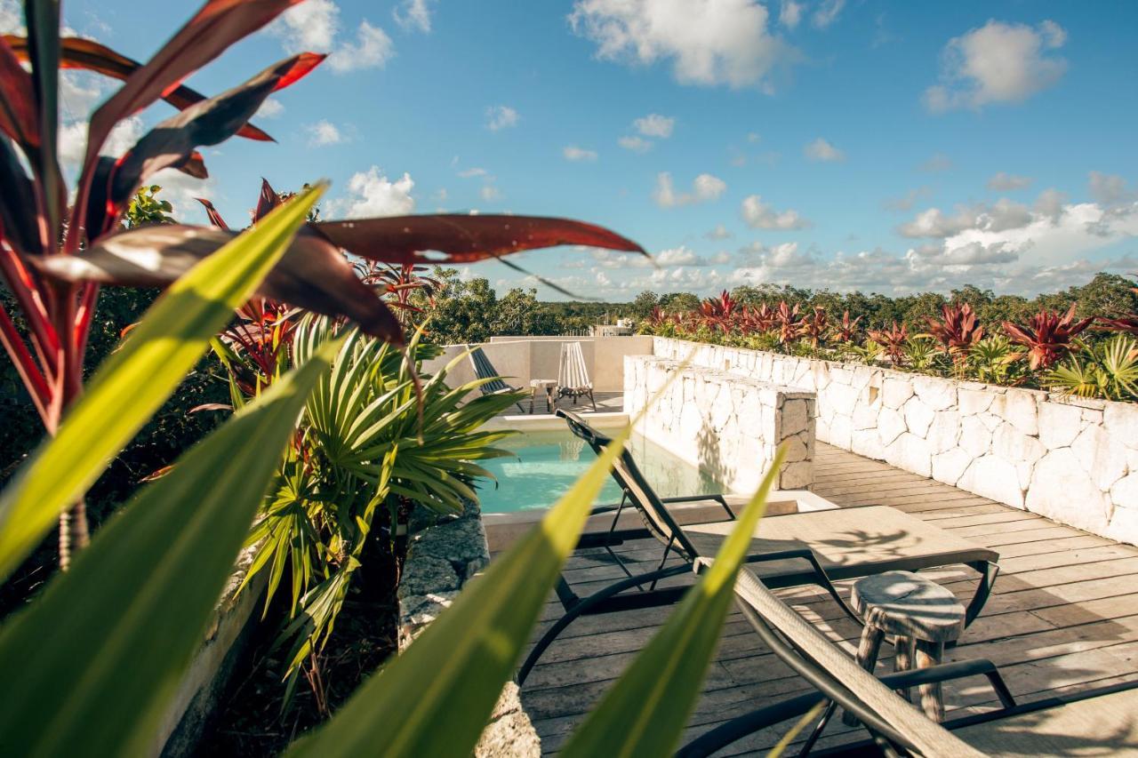 Appartamento Vida Jungle 7 With Special Fee To Access Bardo *